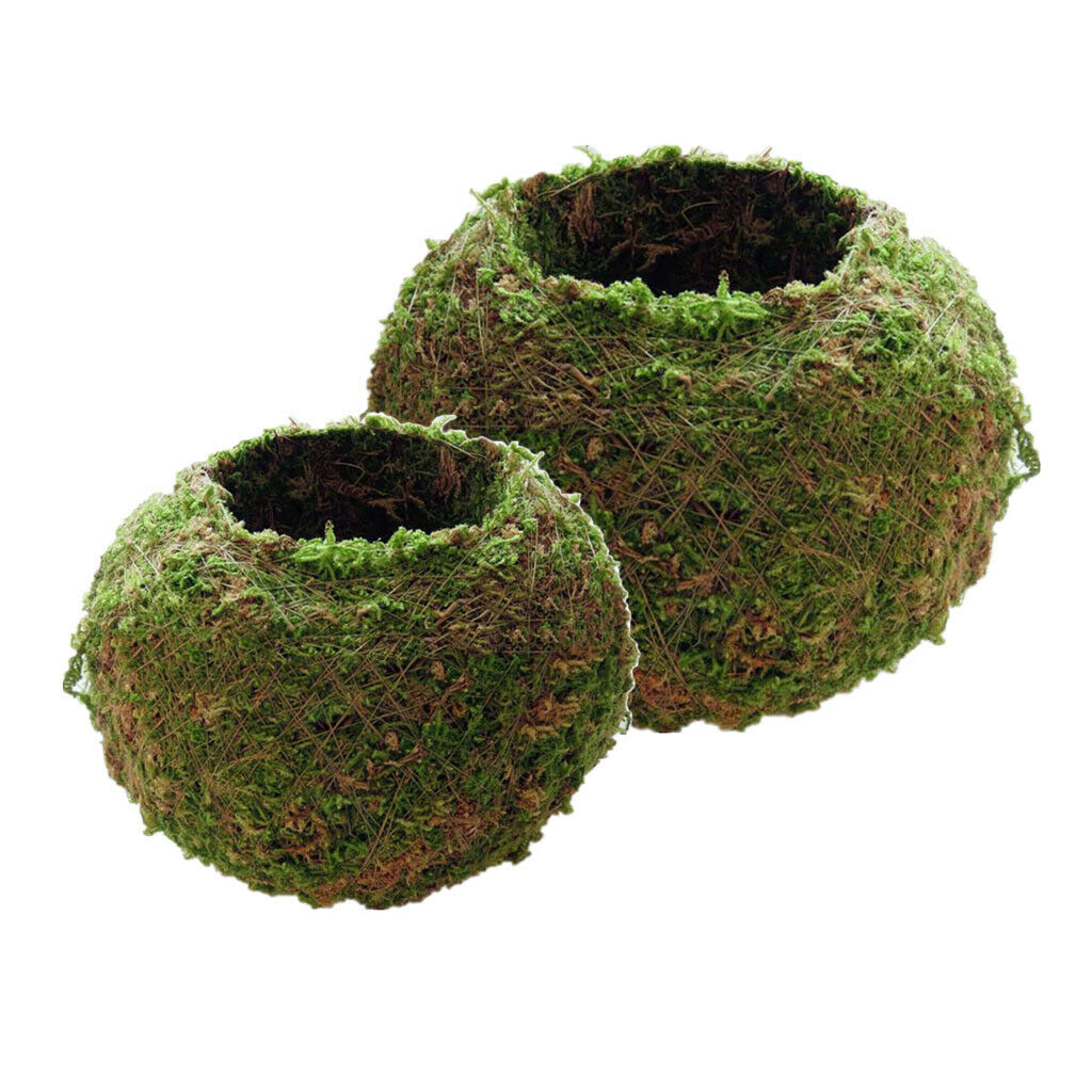 2 Piece Moss Ball Shape Flower Vase Flower Pot, Creative DIY Gardening Potted