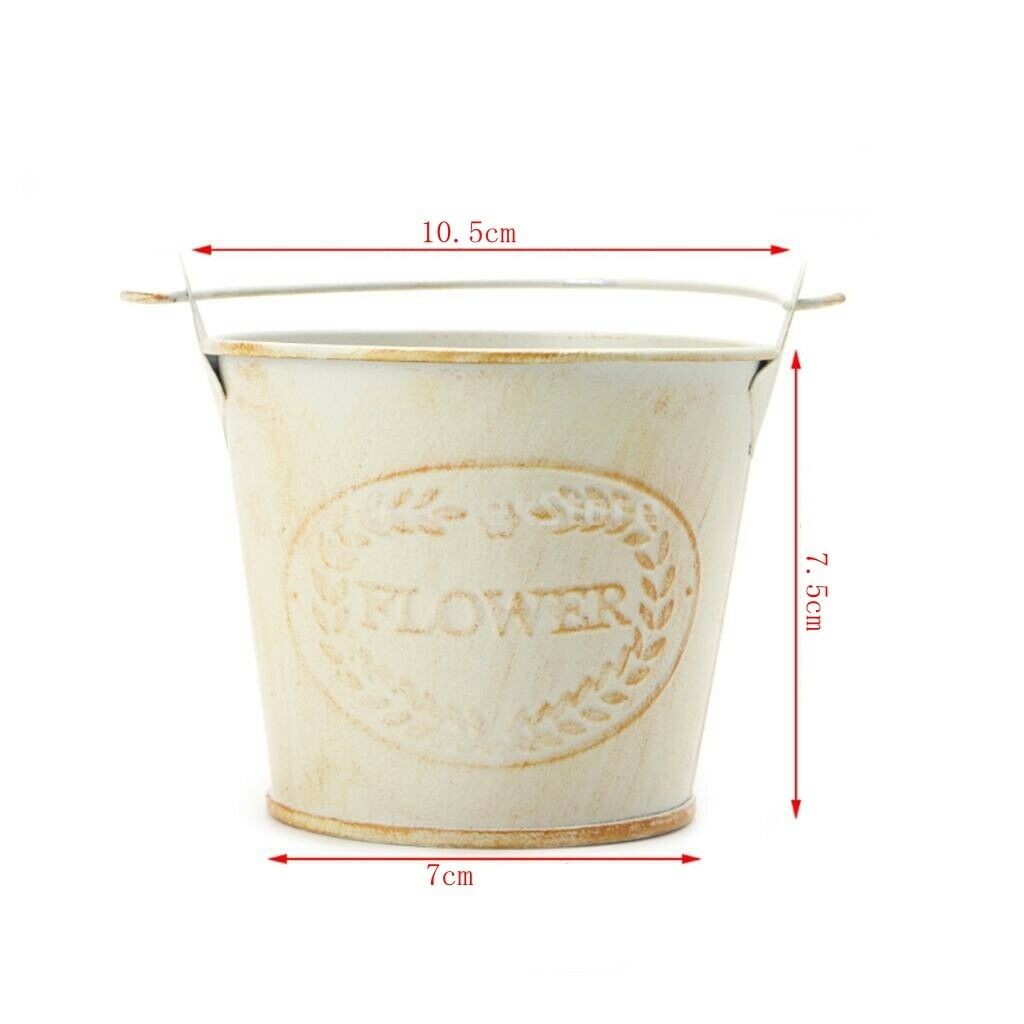 2Pieces Shabby Galvanised Metal Iron Flower Plants Bucket Flower Vase Pot