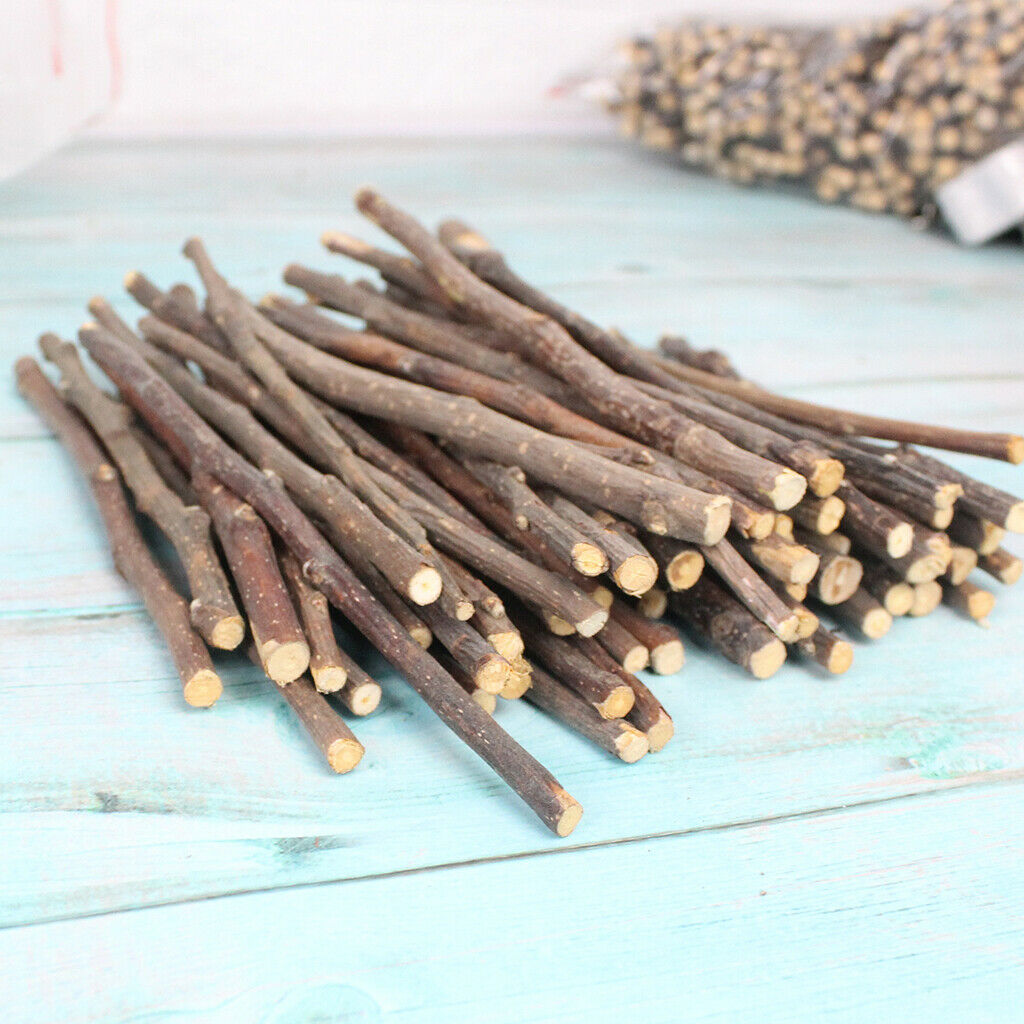 Wood Chew Sticks for Hamster Rabbits Chinchillas Squirrels Rodent Animals