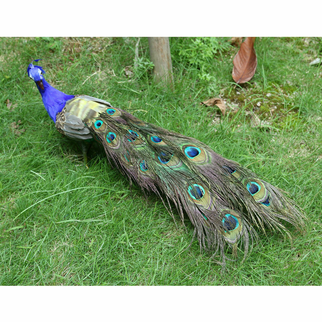 Simulation Lifelike Artificial Feather Peacock Birds Garden Decor Ornaments