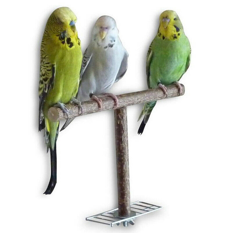 Parrot Bird Stand Bar Parrot Toys Swing Pet Bracket Wooden Rest Perches B.l8