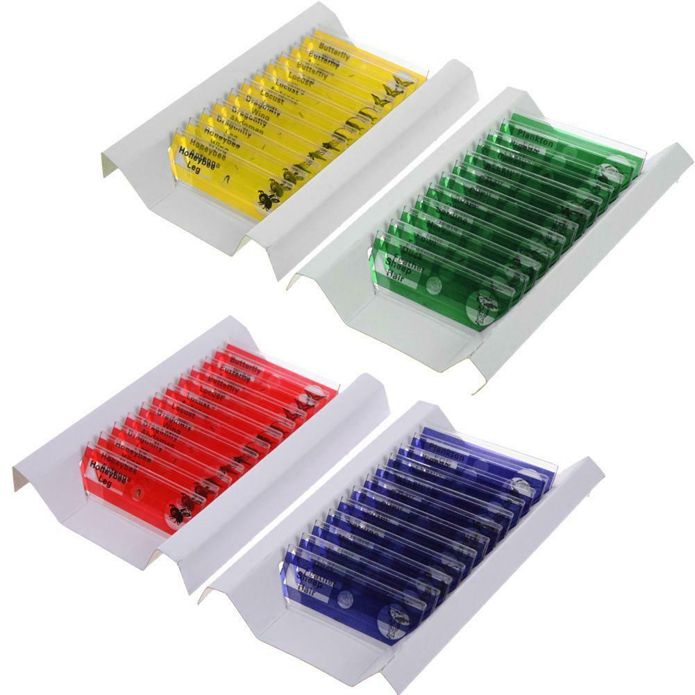 Prepared Plastic Microscope Slides Animals Insects Flowers Plants Student C#P5