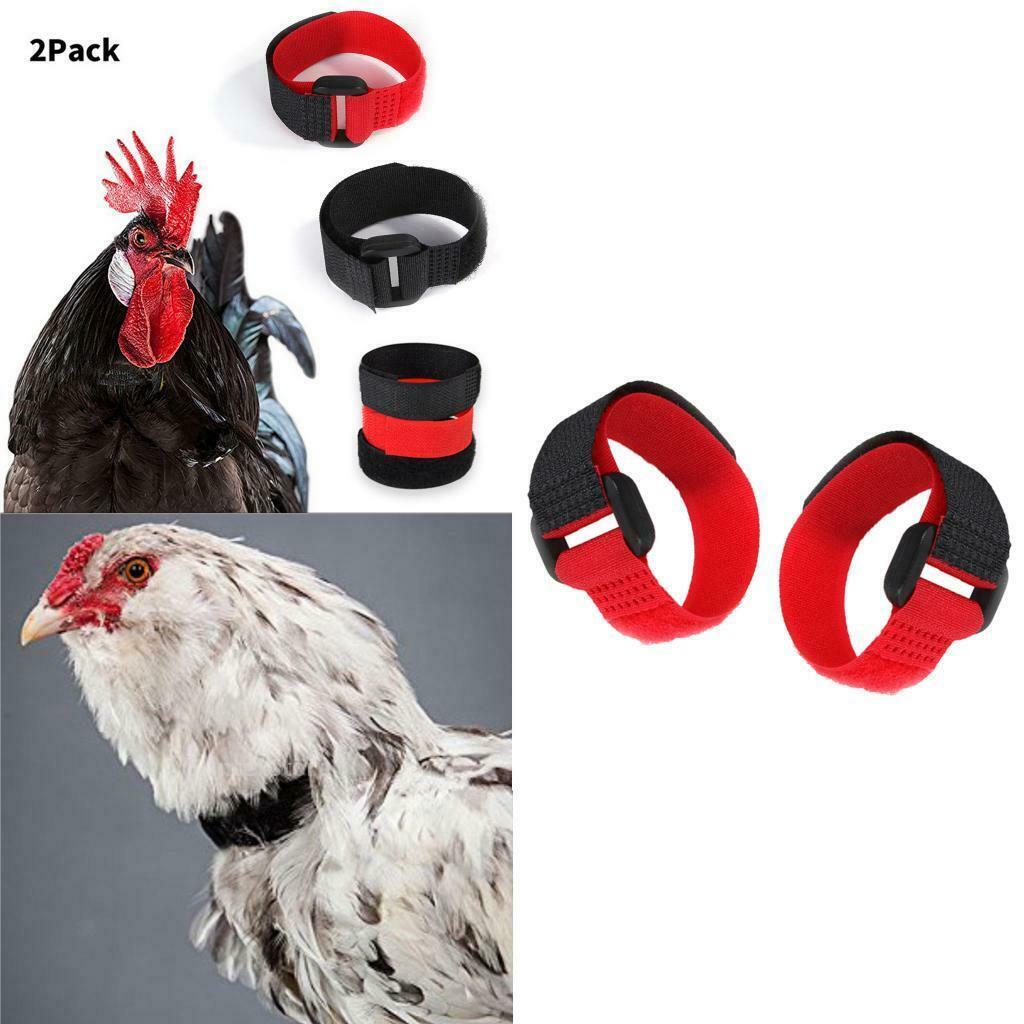 2x Chicken Collar Prevent Chicken from Disturbing Neighbors for Rooster