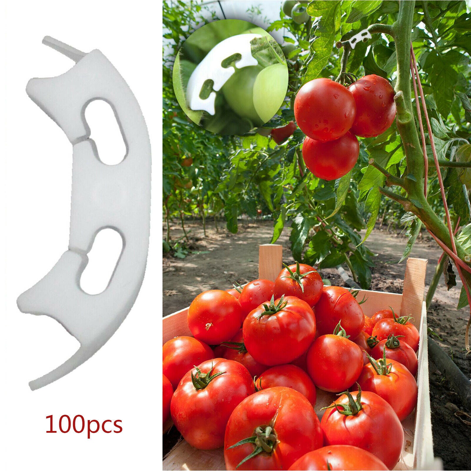 100x Vegetables Tomato Fixing Clips Prevent Bending Support Clamp for Garden