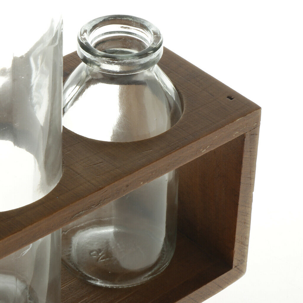 Crystal Glass Test Tube Vase in Wooden Stand Terrarium Glass Planter 3-Wood