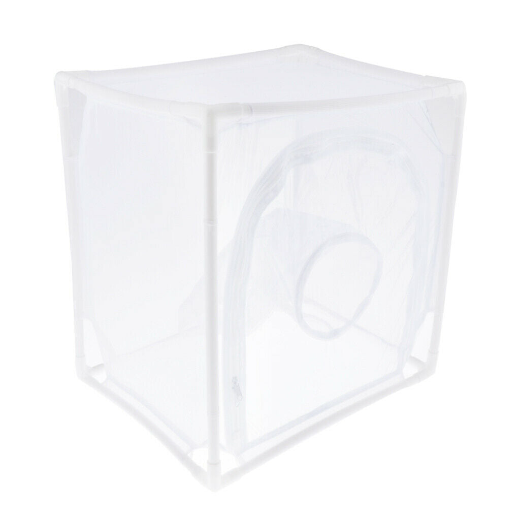 Terrarium cage for mosquito nets butterflies insect butterflies