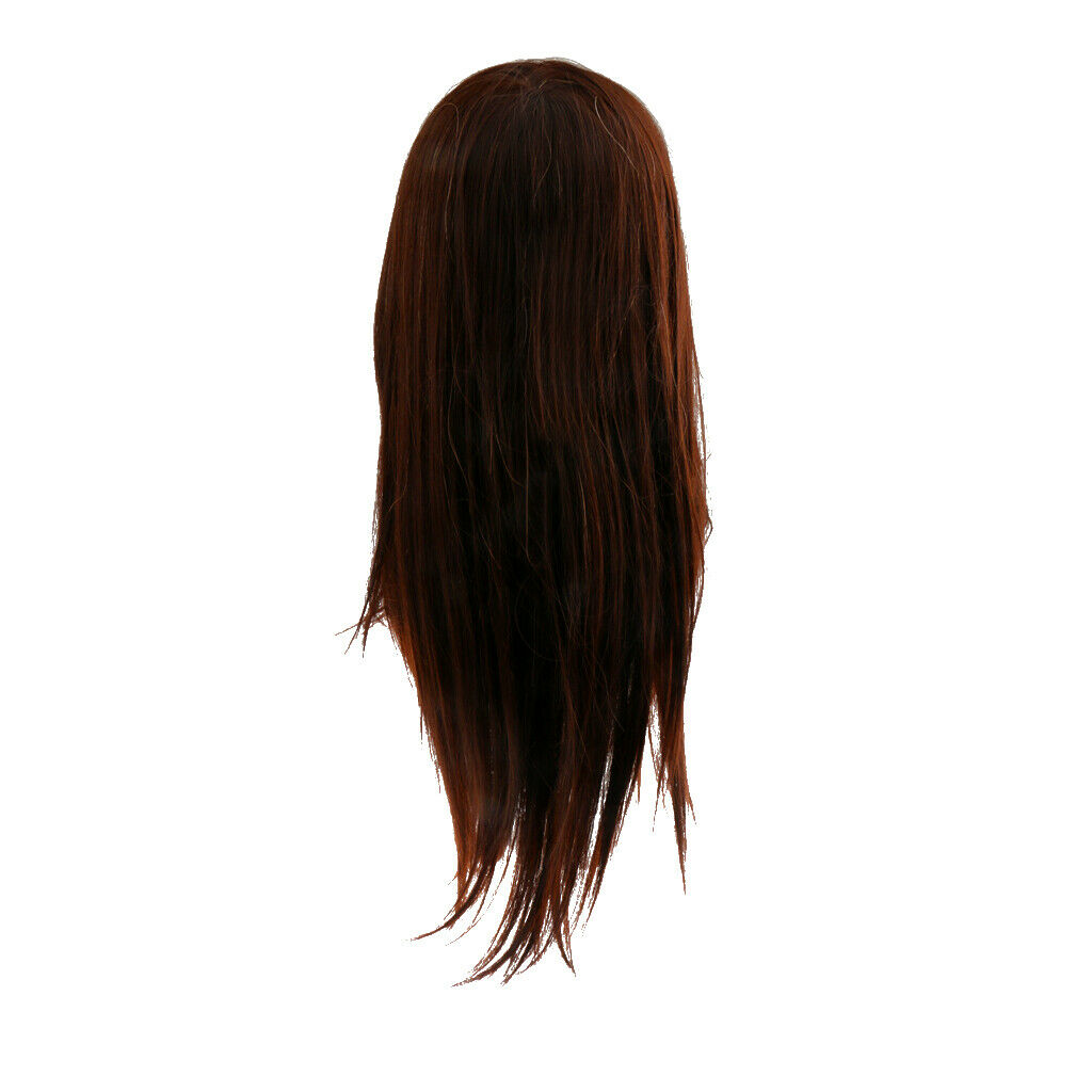 New 30% Human Hair Hairstyle Shaped Dummy To The