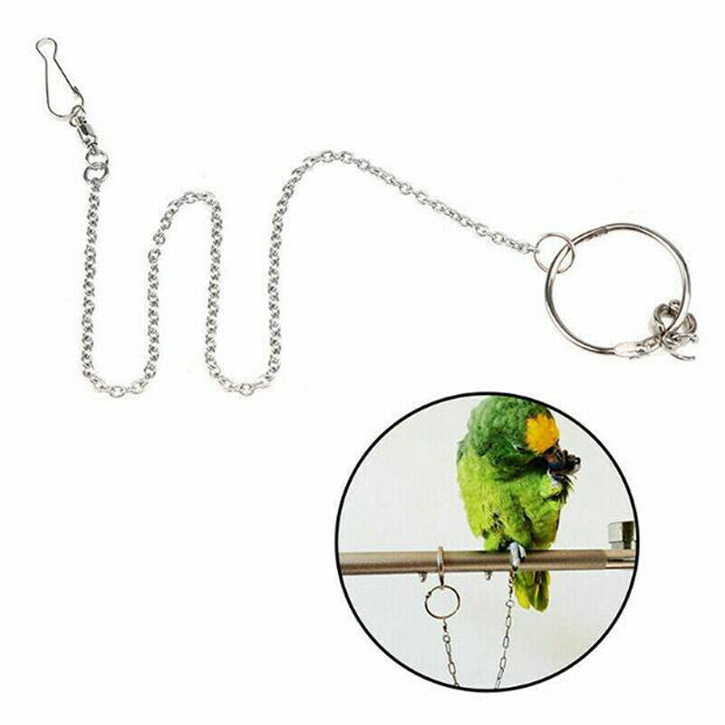 Parrot Leg Ring Ankle Foot Chain Bird Outdoor Flying Training Activity St.l8