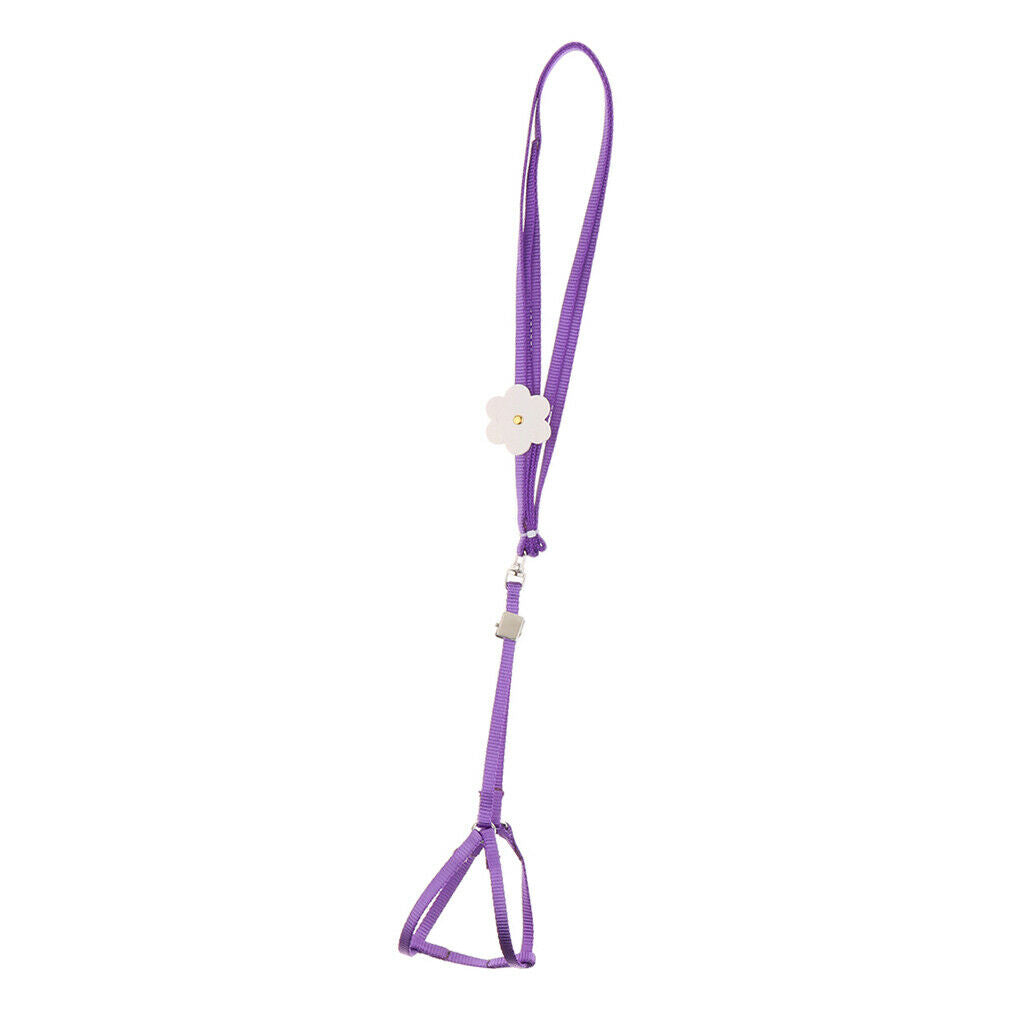 Outdoor Parrot Rope Pet Leash Adjustable Bird Harness S Purple