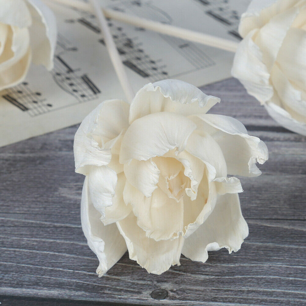 3X Artificial Flower Peony Reed Diffuser Stick Aromatherapy Fragrance Decor DIY