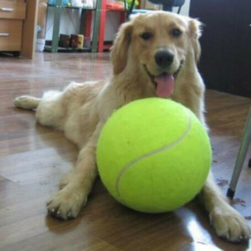 9.5" Big Giant Pet Dog Puppy Kids Tennis Ball Thrower Chucker Launcher Play BDA