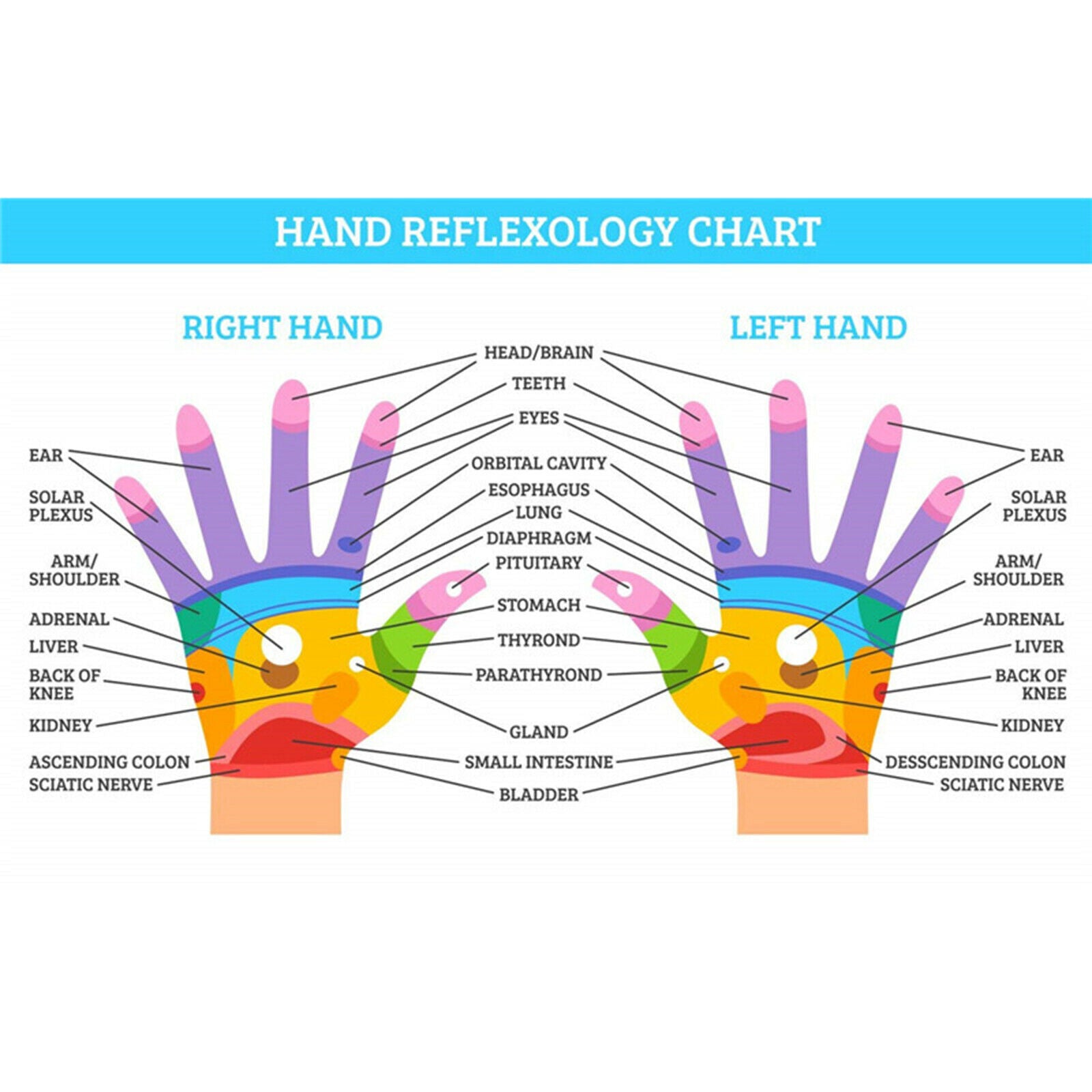 Cordless Hand Massager with Heat Compression 6 Modes 3 Levels for Arthritis