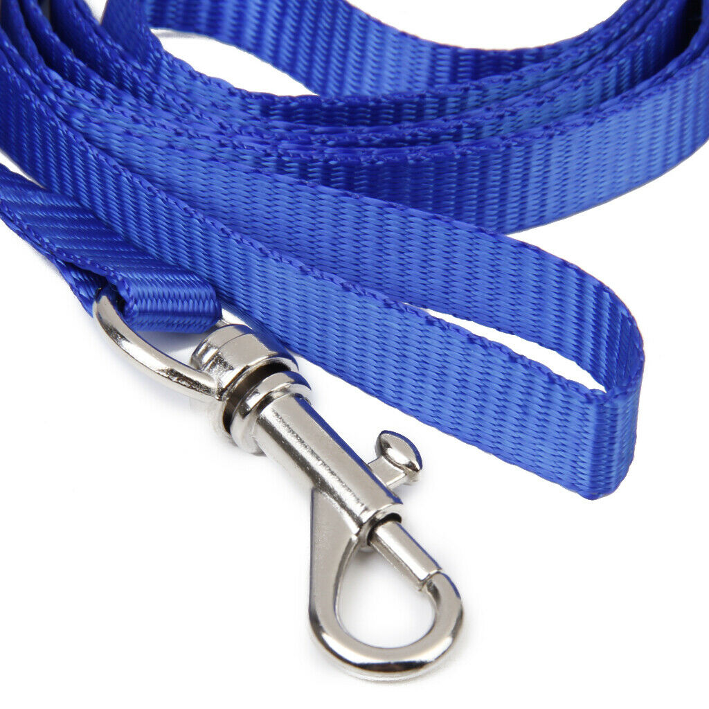 Blue Adjustable Pet Cat Kitten Belt Nylon Collar Leash Harness Safety Strap