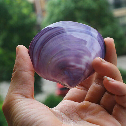 1 Piece Fine Polished Shell Purple Clam Seashells Shells DIY Crafts Decor HH6969