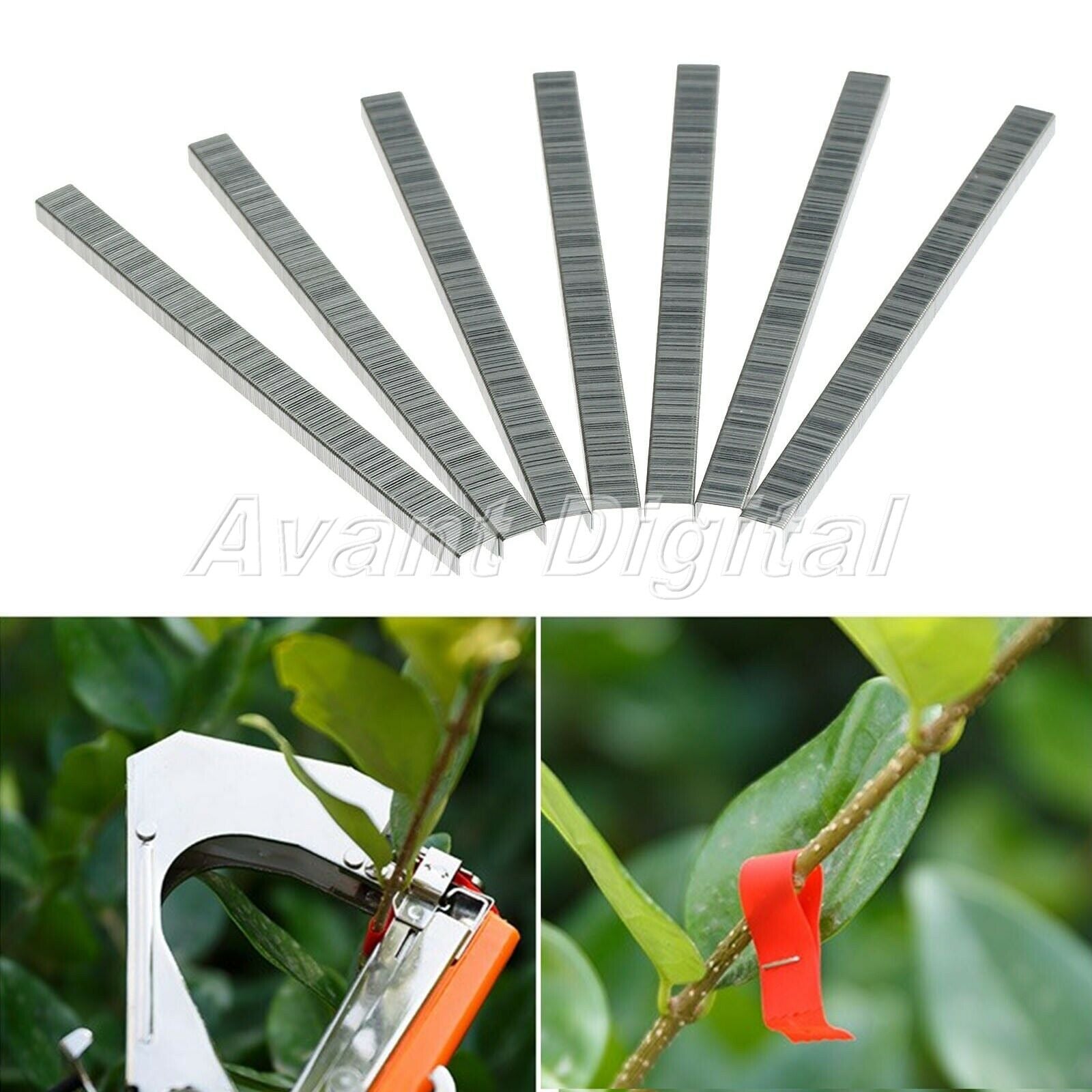 10000 x Tape Nail Staples Tomato Cucumber Pepper Binder Plier Tool Carbon Steel