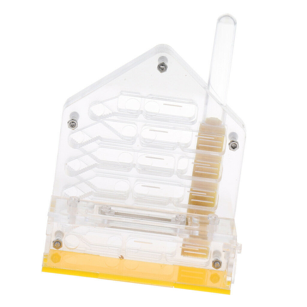Safe & Reliable Ant Transparent 4x2x5 inch Feeding Box Formicarium