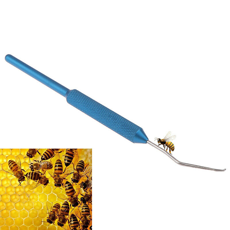 Steel Larvae Moving Grafting Needle Beekeeping Tools Move Worms for Beekee xnLDD