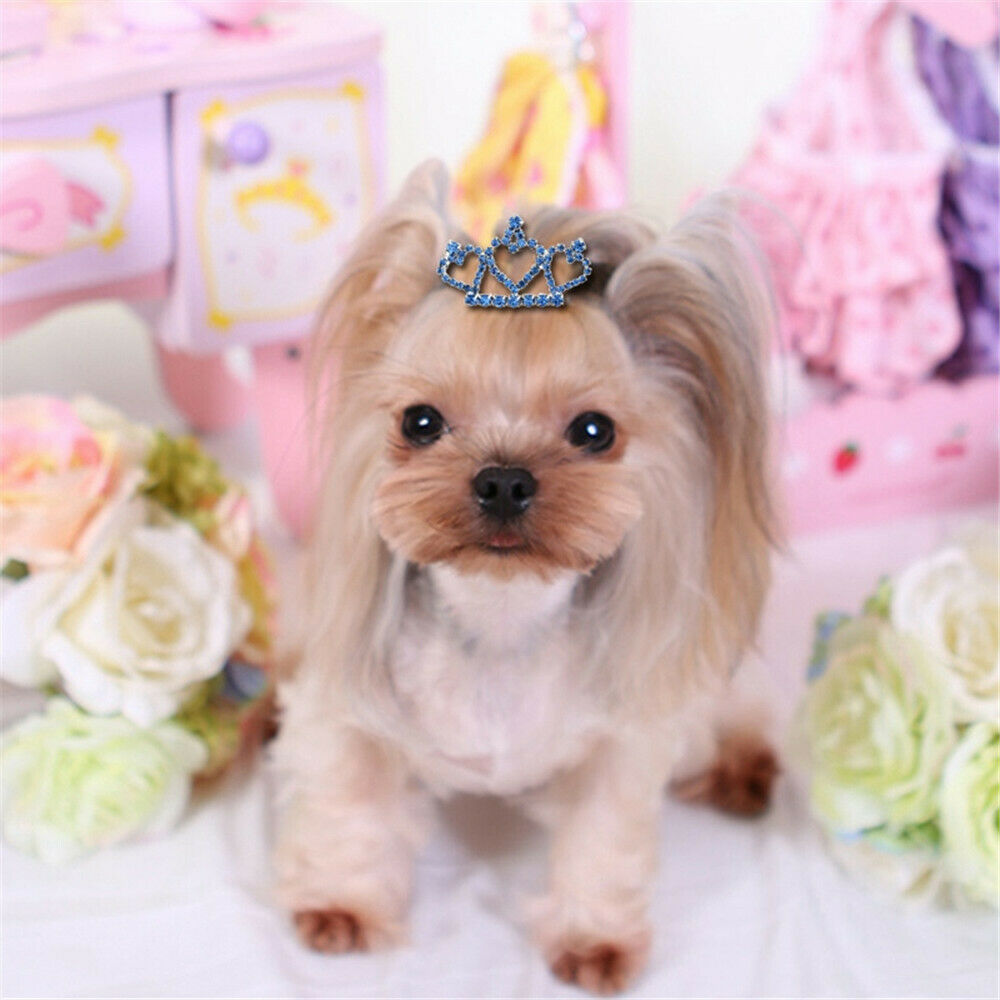 Hair Accessories Shiny Pet Supplies Hair Clip Dog Hairpin Cat Hair Grooming