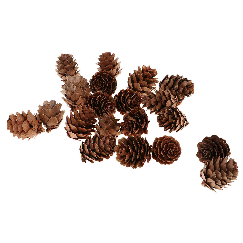 Fantastic Christmas Tree Decoration Natural Pine Cones for Winter