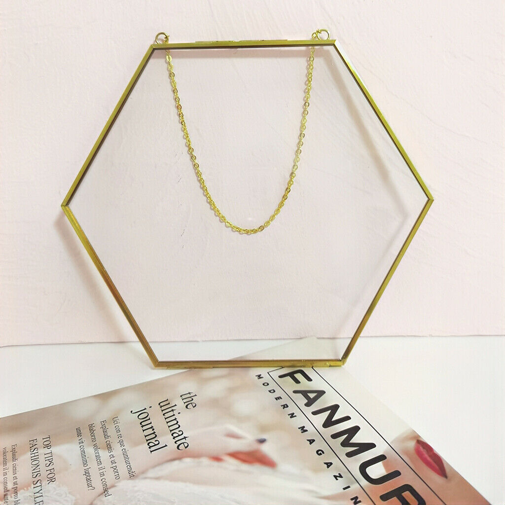 Double-sided hanging glass display frame for photo picture plant sample