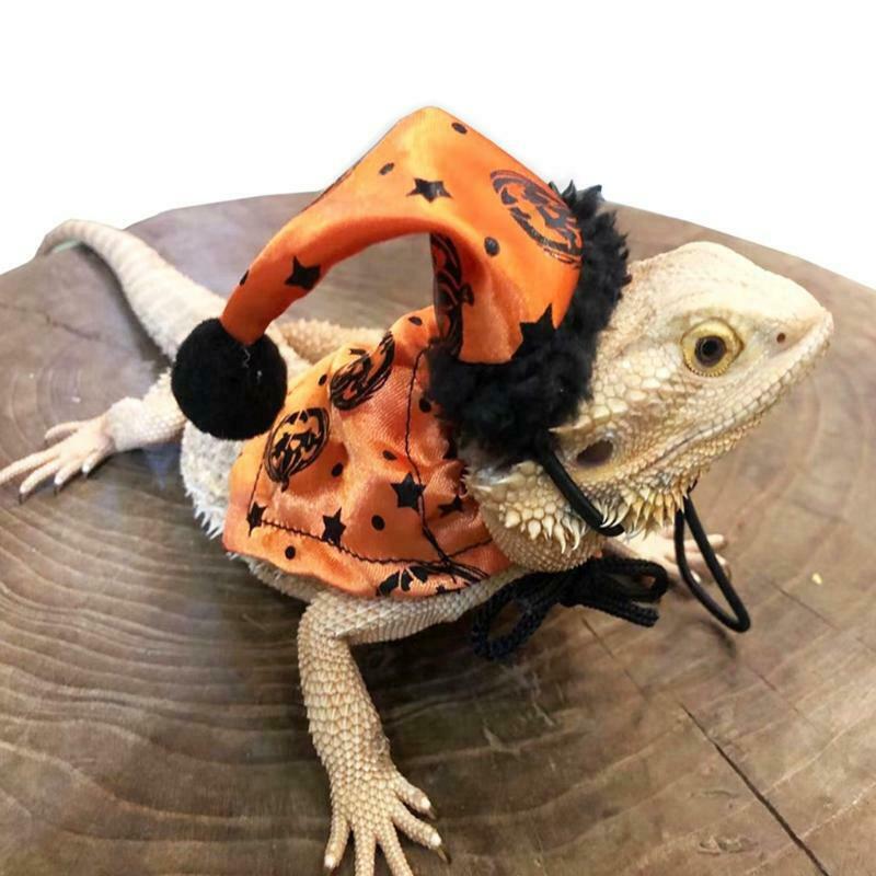 Halloween Hat and Cloak for Reptiles Photo Props Adjustable Lizard Costume Set