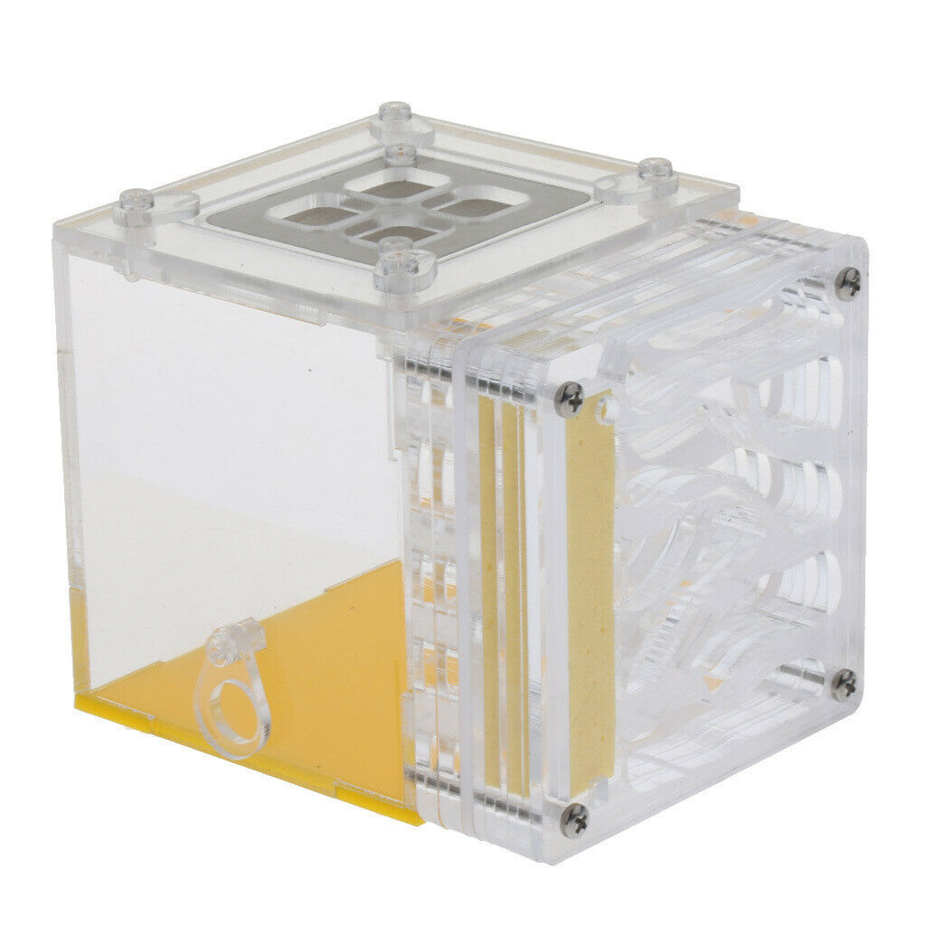 Square Ant Feeder Farm Water Erea For Insect Ant Nests Transparent 10x8x8.3cm