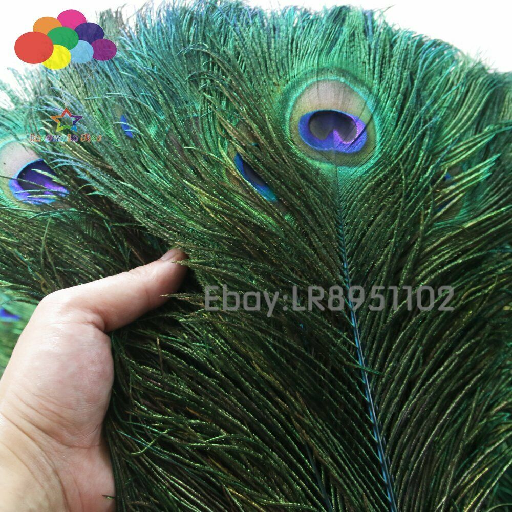 blue lake 100 pcs beautiful Peacock feathers 70-80cm for Crafts DIY weddings