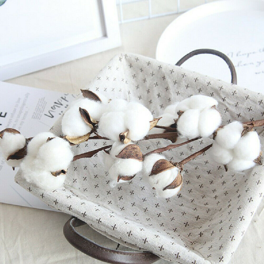 Naturally Dried Cotton Flowers Artificial Plants Wedding Home Decorati.l8