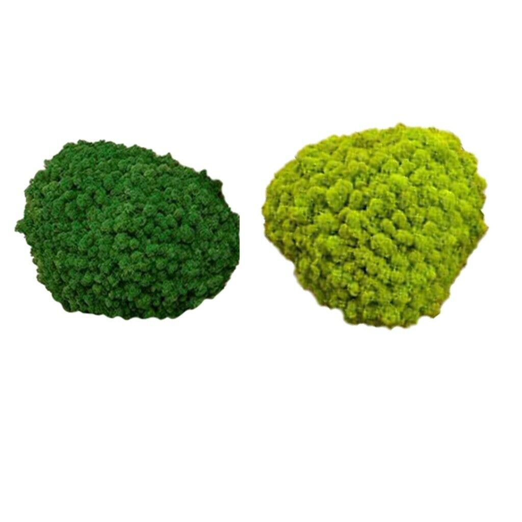 Set of 2 25g Wall Artificial Decorative Moss Ornaments for Bedroom Decor