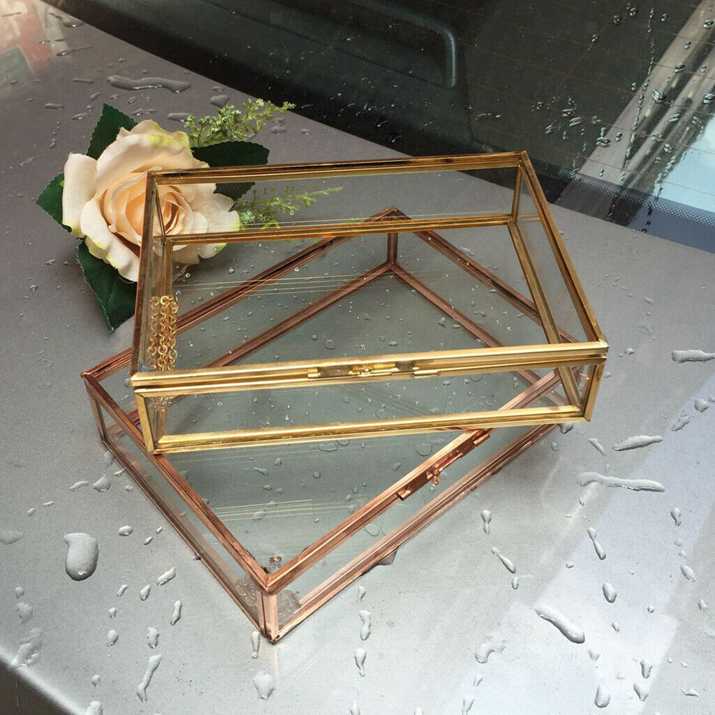 Geometric Terrarium Clear Jewelry Case Succulent Plants Container 10x7x6cm