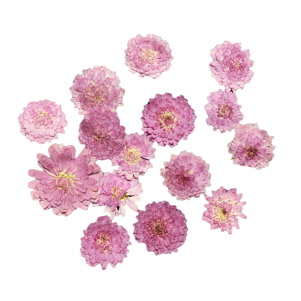 10x Pressed Dried Flower Dry Leaves for DIY Crafts Bookmark Cards Making 02