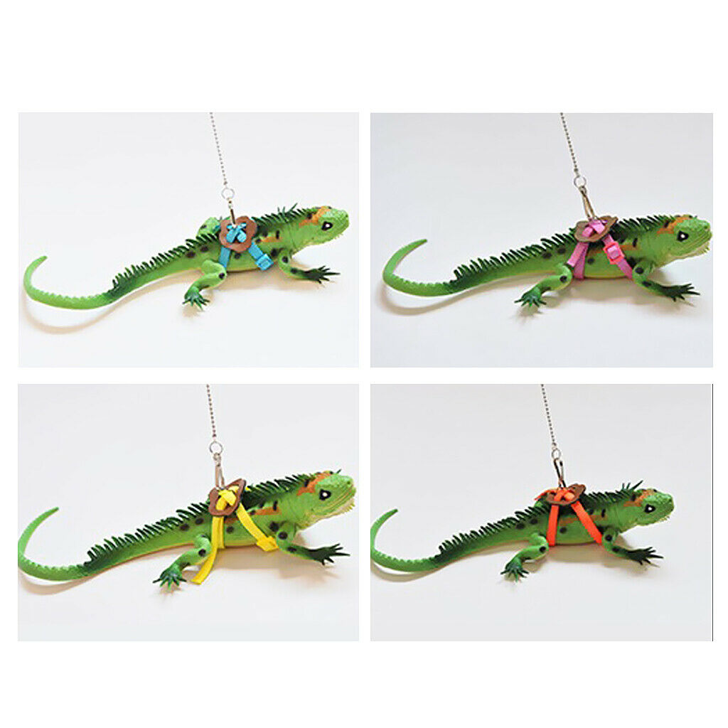 Reusable Parrot Clothe Diaper Bird Parrot Traction Leash Great Love to Parrot
