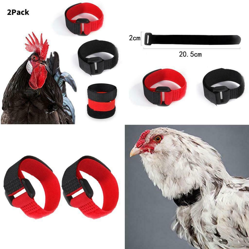2pcs Chicken Collar Anti Crow Prevent Rooster from Screaming for Rooster