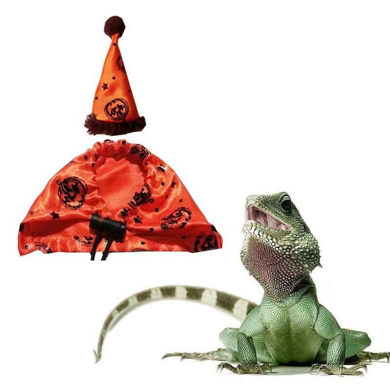Bearded Dragon Costume Set Orange Hat and Cloak Lizard Clothes Resizable