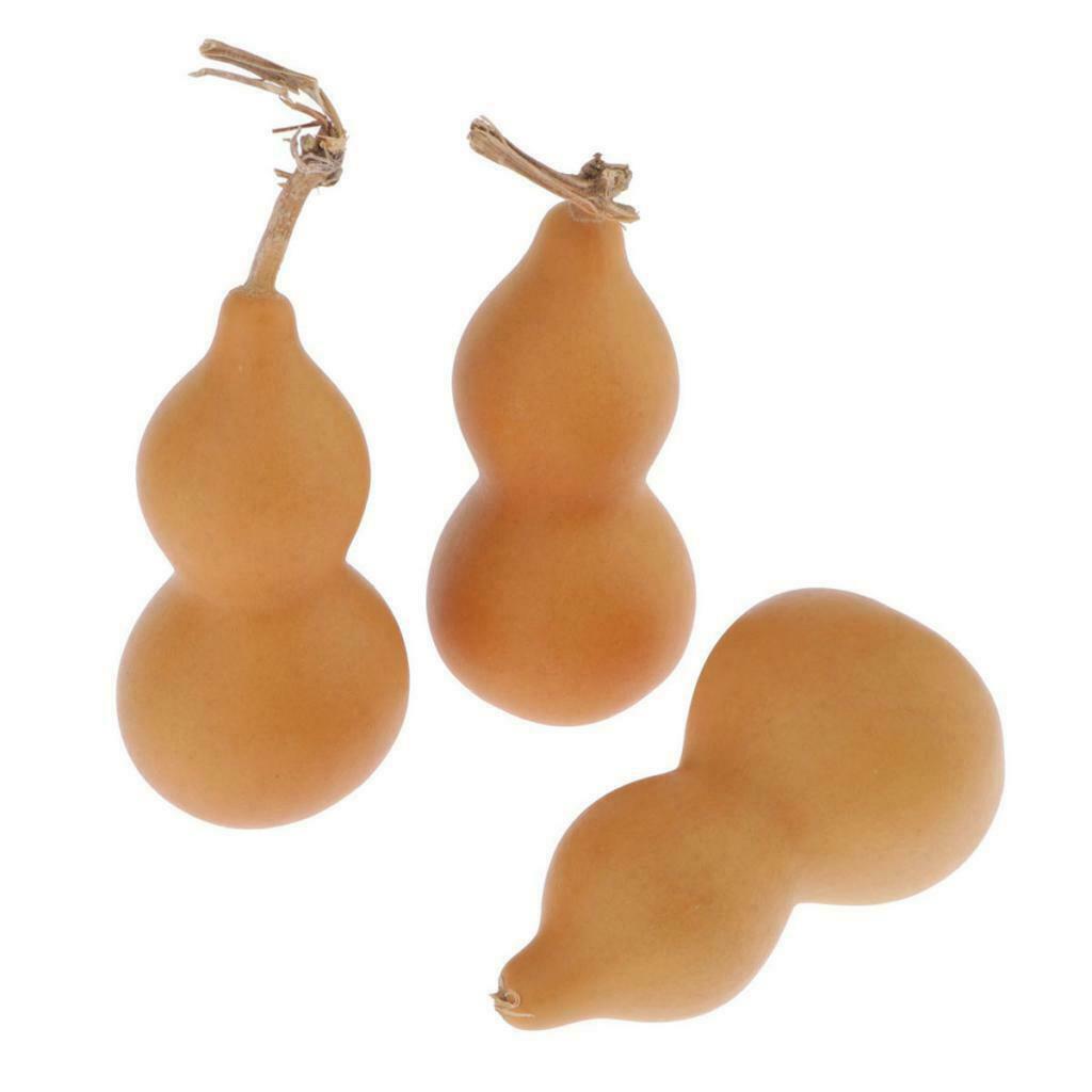3Pcs Natural Gourds Pendant Unpainted for DIY Crafts Home Hanging Ornament