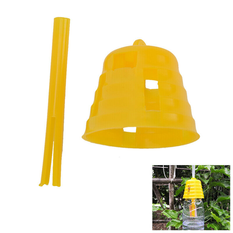 Fruit Fly Trap Killer Drosophila Trap Fly Catcher With Attractant Garden .l8