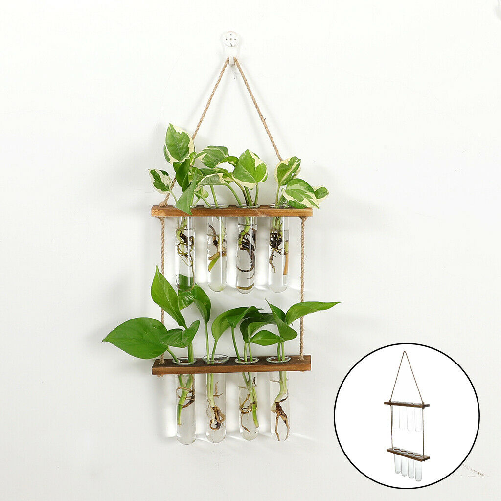 Wall Hanging Terrarium with Wooden Stand Glass Planter Propagator Hydroponic