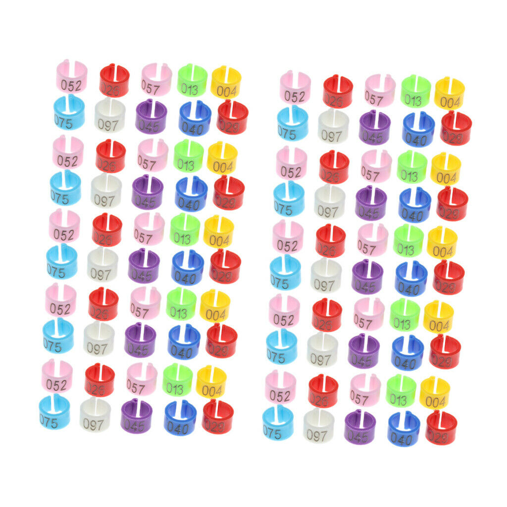 100Pcs Plastic Pigeon Leg Rings Bird Rings Identification Race Colorful Ring