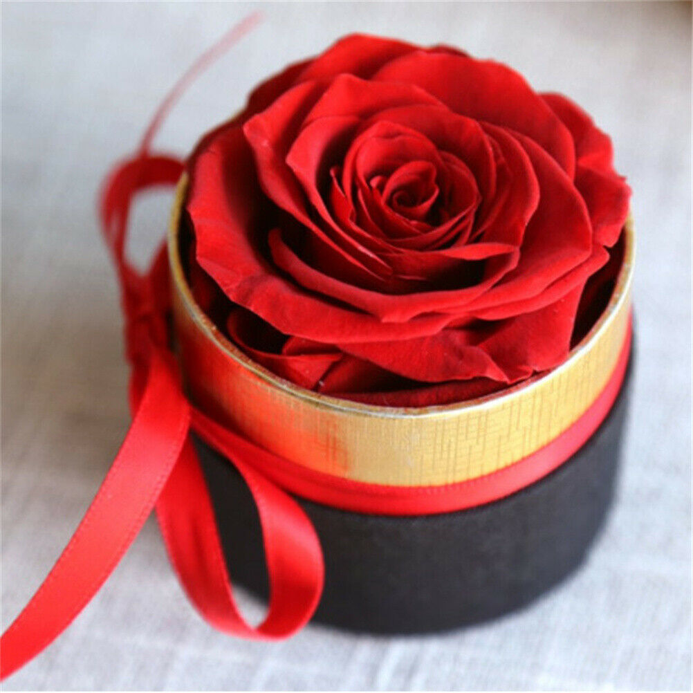 Eternal Rose Box Preserved Real Rose Flowers With Box Set Best  Gift ValentiBDA