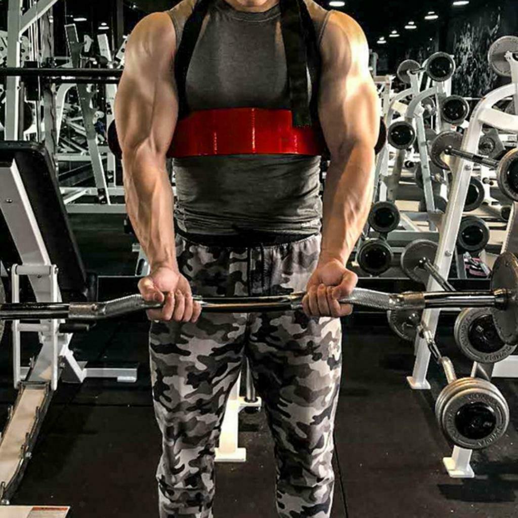 Arm Blaster Bodybuilding Bomber Biceps Insulator Curl Triceps Increase