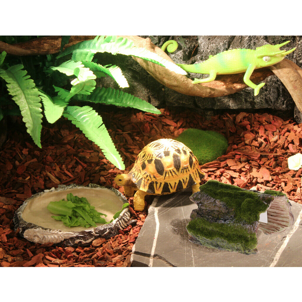 Aquarium Fish Tank Ornament Lizard Spider Hide Cave with Turtle Tortoise Dish
