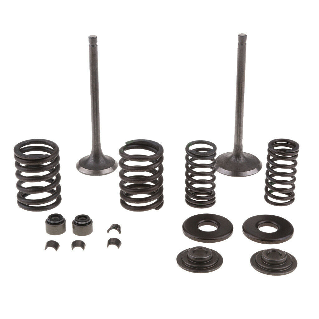 250CC Engine Valve Kit Scooter Engine Valves Engine Valve Springs For Scooter