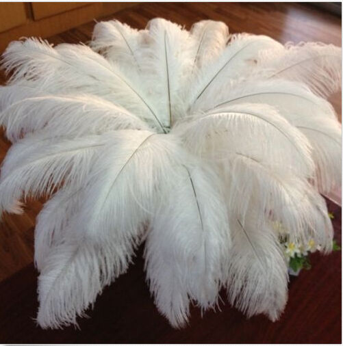 100pcs Top quality 10-12inch/25-30cm white ostrich feathers Decor wedding Party