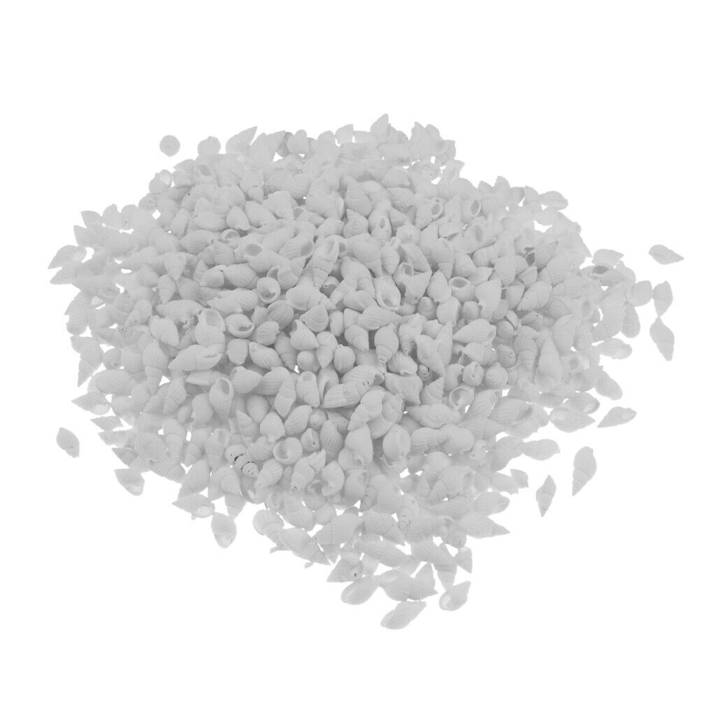 500g Mixed Sea Beach Shells Craft Seashells Aquarium Fish Tank Decor #1 500g