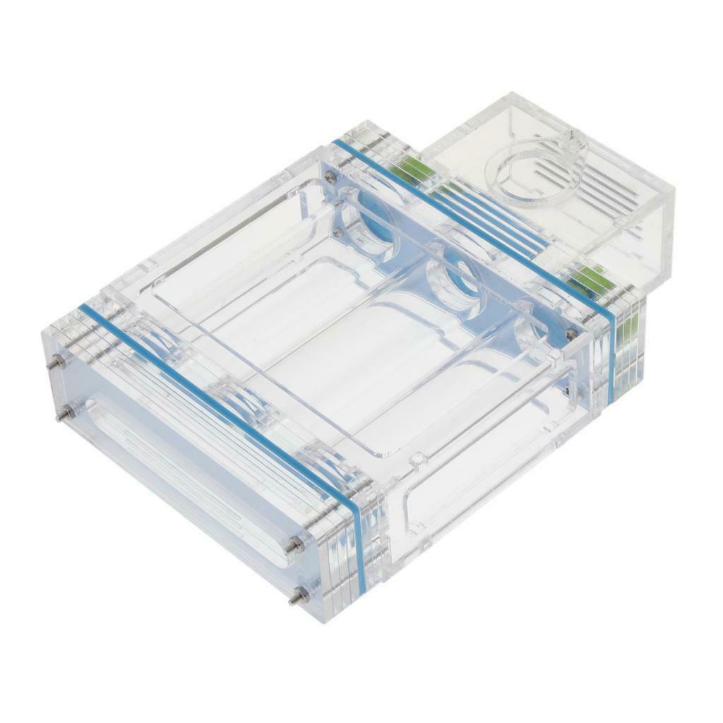 1pc Ant Nest Housing Ant Farm Box Formicarium Display Case Small Large Ant