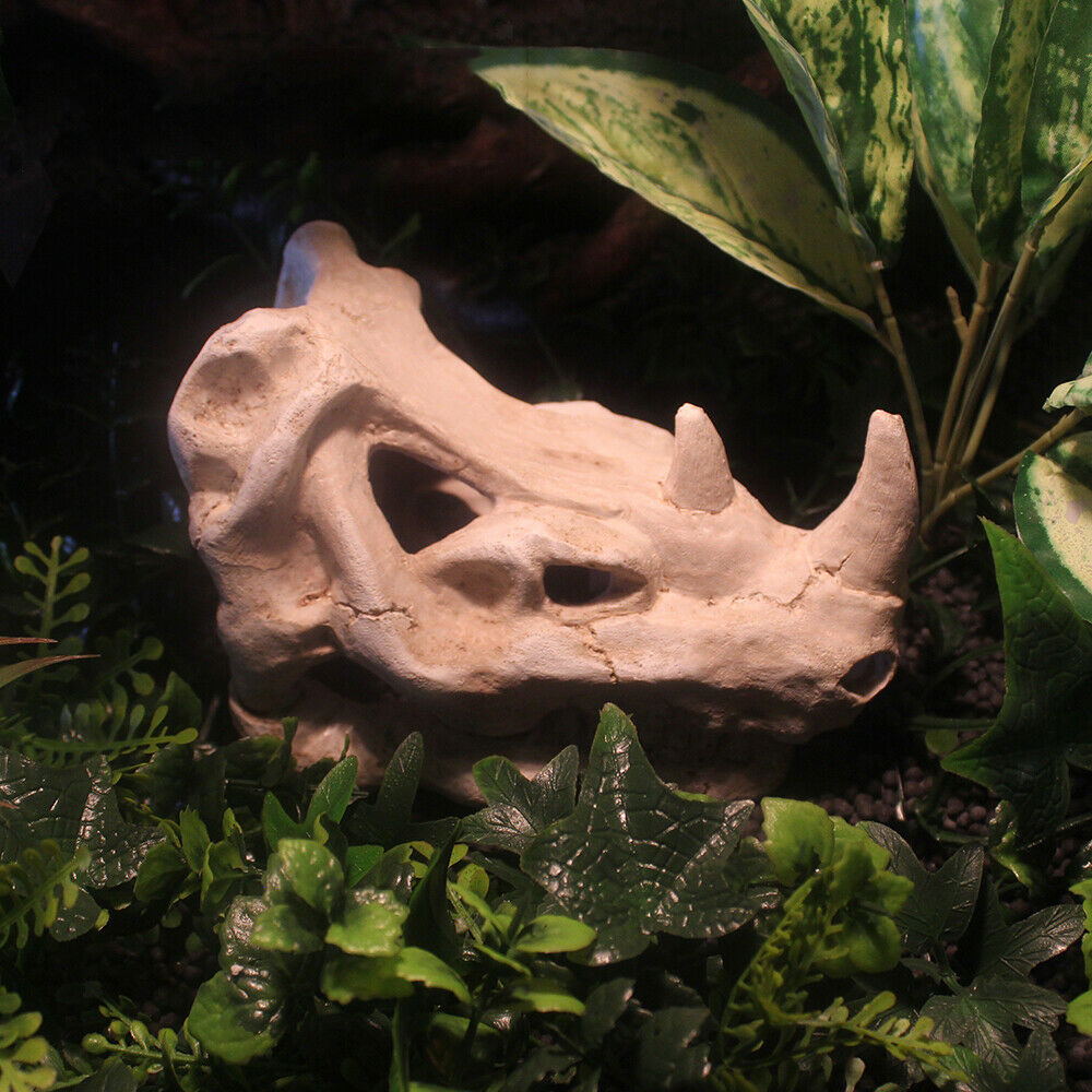 Aquarium Fish Tank Simulate Bone Reptile Terrarium Hide out Landscape NS-126