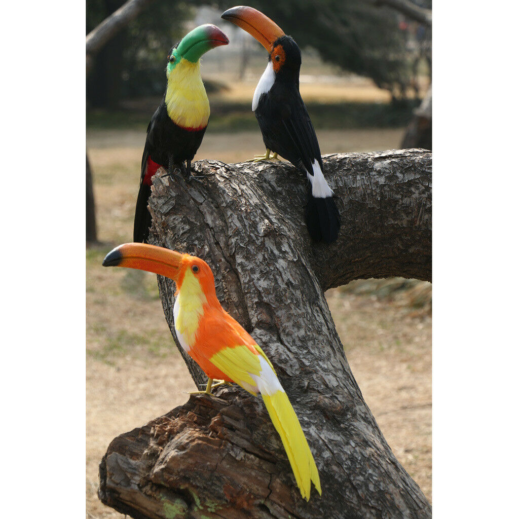 Artificial Black Toucan Bird Realistic Taxidermy Home Garden Decor 35cm #9