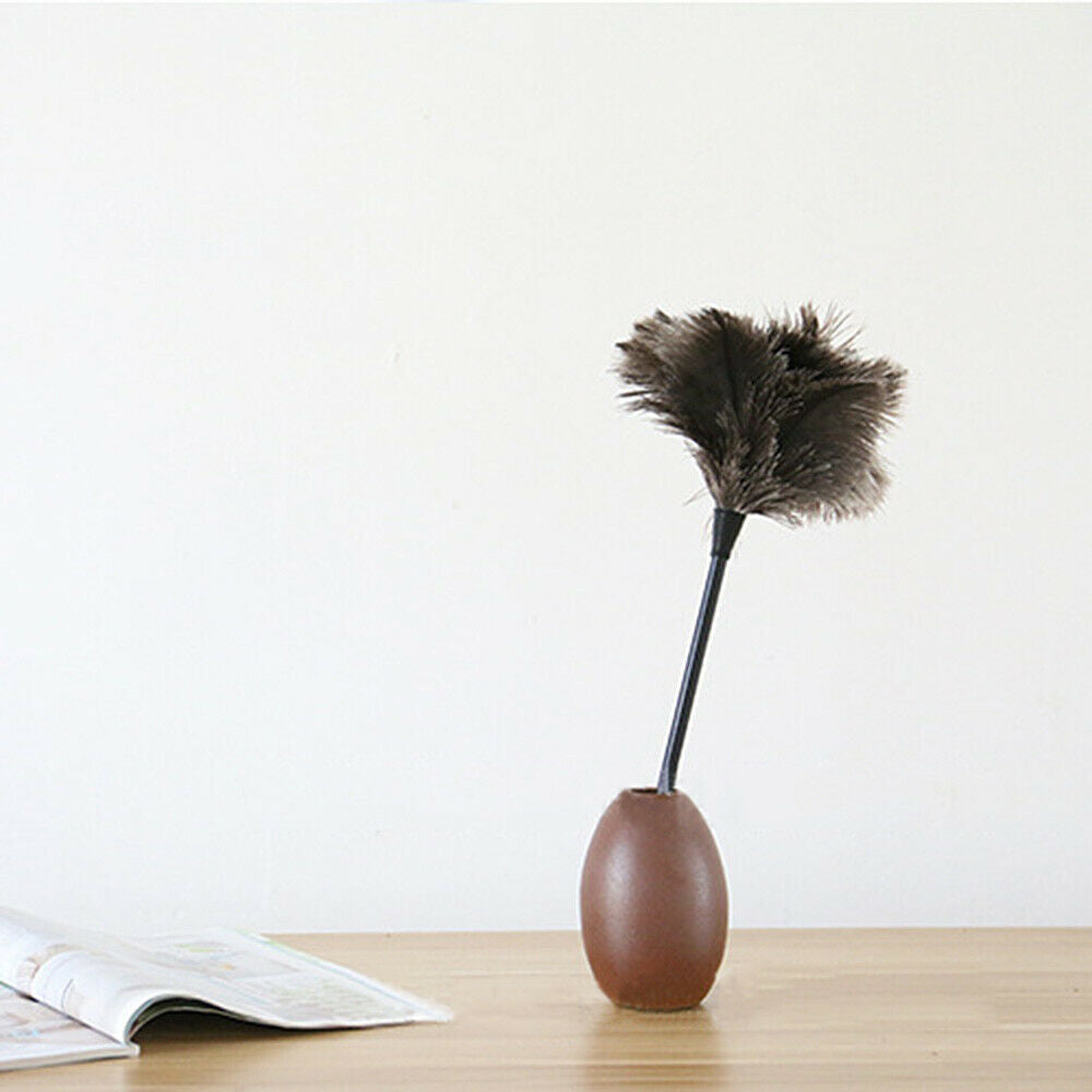 34cm Ostrich Feather Duster Anti-static Brush Cleaning Tool Wooden Handle Home