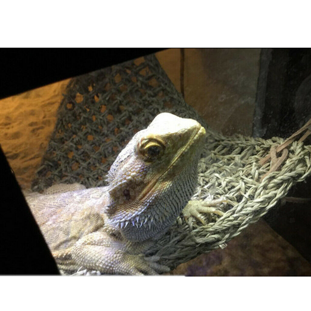 Pack of 2 Reptile Corner Hammock Bed Natural Basking Platform Lizard L/S