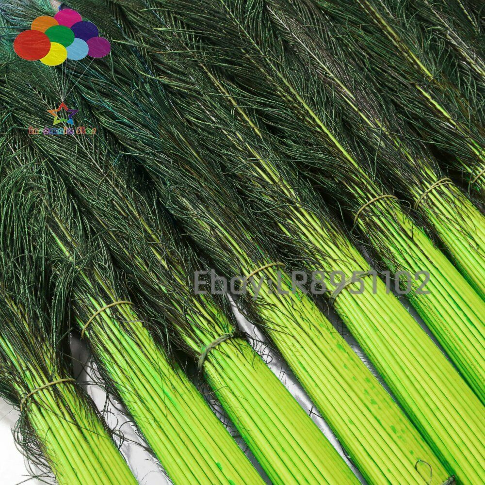 Fruit green 100 PCS Peacock Feather 70-80 cm Clothing Decoration Plumage Fashion